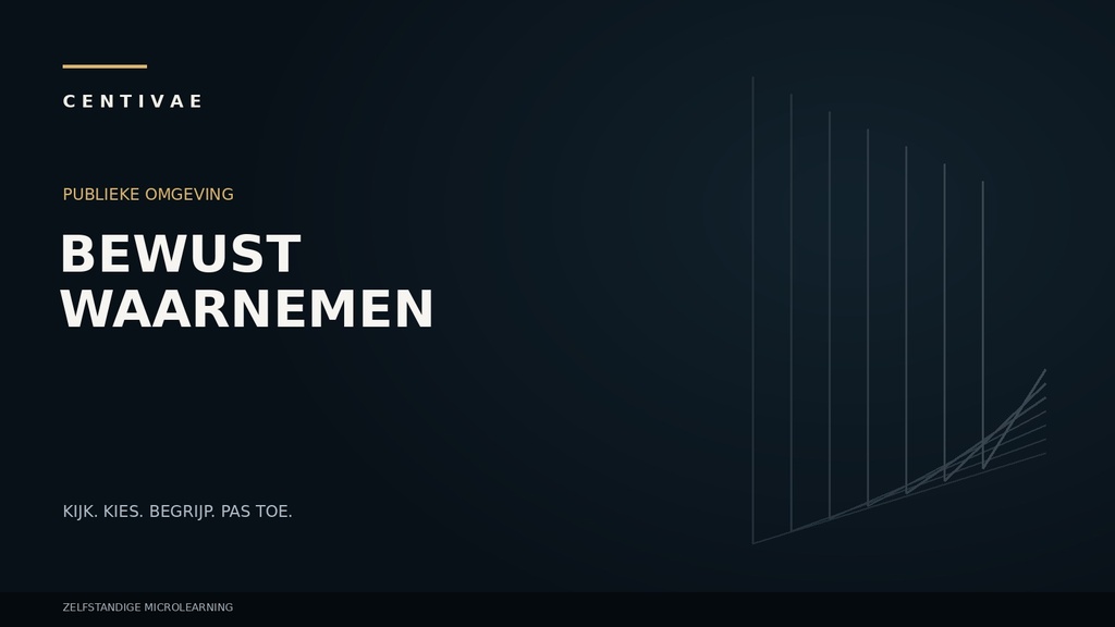 Bewust waarnemen in een publieke omgeving